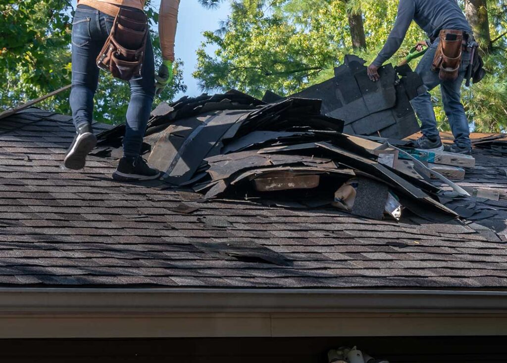 A homeowner using a flashlight to inspect the attic for signs of animal or insect activity.