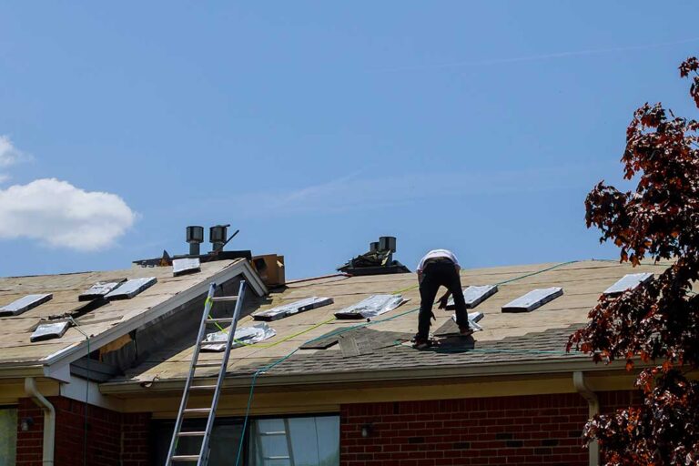 Mature shade tree branches over a shingled roof with leaves gathered in a gutter.