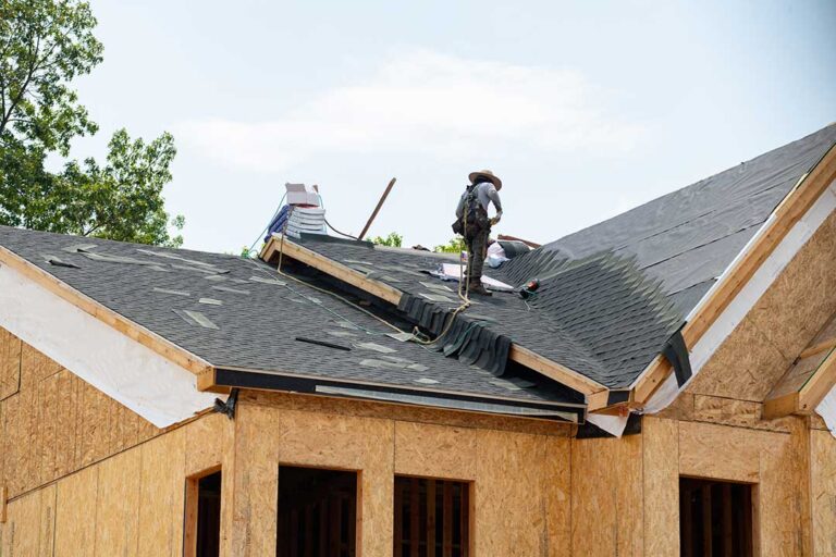 Homeowner checks roof from the ground with binoculars while a secured ladder stands nearby.